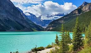 Requirement for Senior IT Manager in Canada