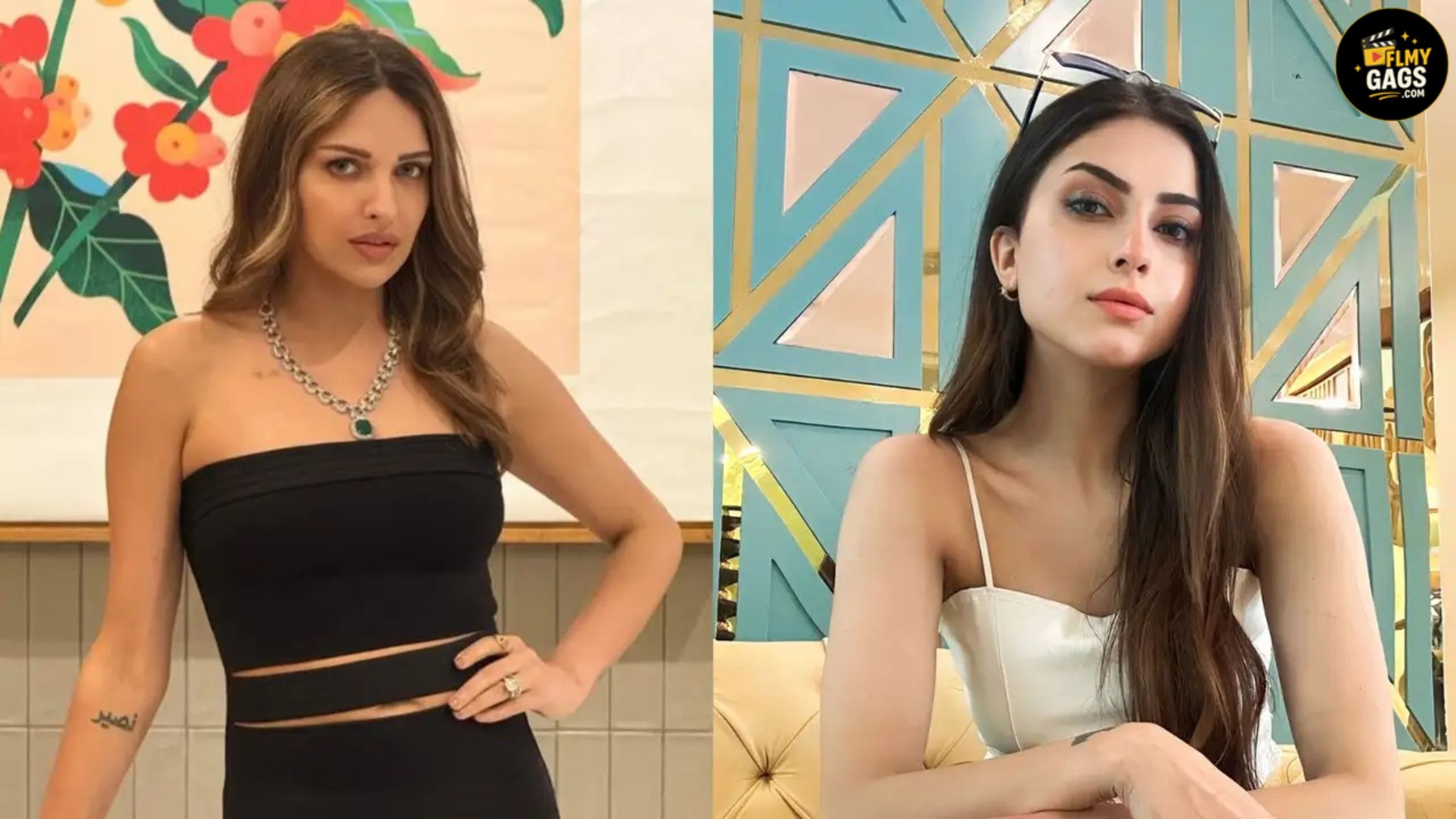 Himanshi Khurana Backs Farrhana Bhatt Following Altercation with Amaal Mallik; States 'Must Embrace the Villain Role